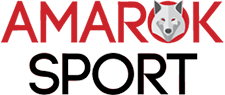 logoamarok